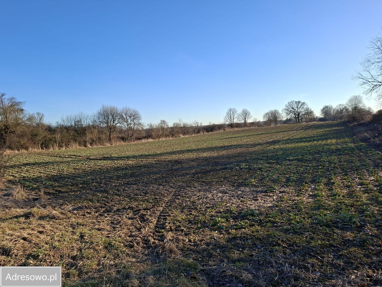 Działka siedliskowa Będkowo. Zdjęcie 8
