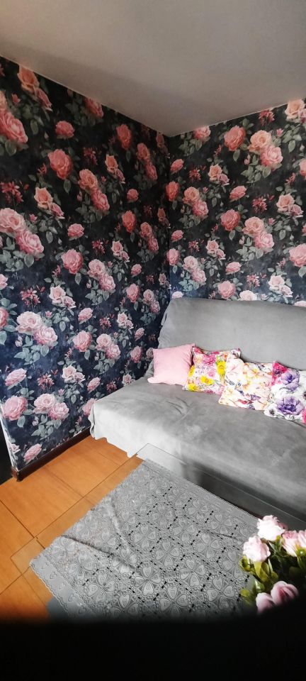 Działka rod Chorzów Maciejkowice, ul. Kluczborska. Zdjęcie 13