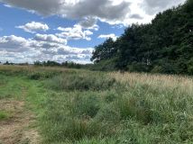 Działka rekreacyjna Darłowo, ul. Lotników Morskich. Zdjęcie 1