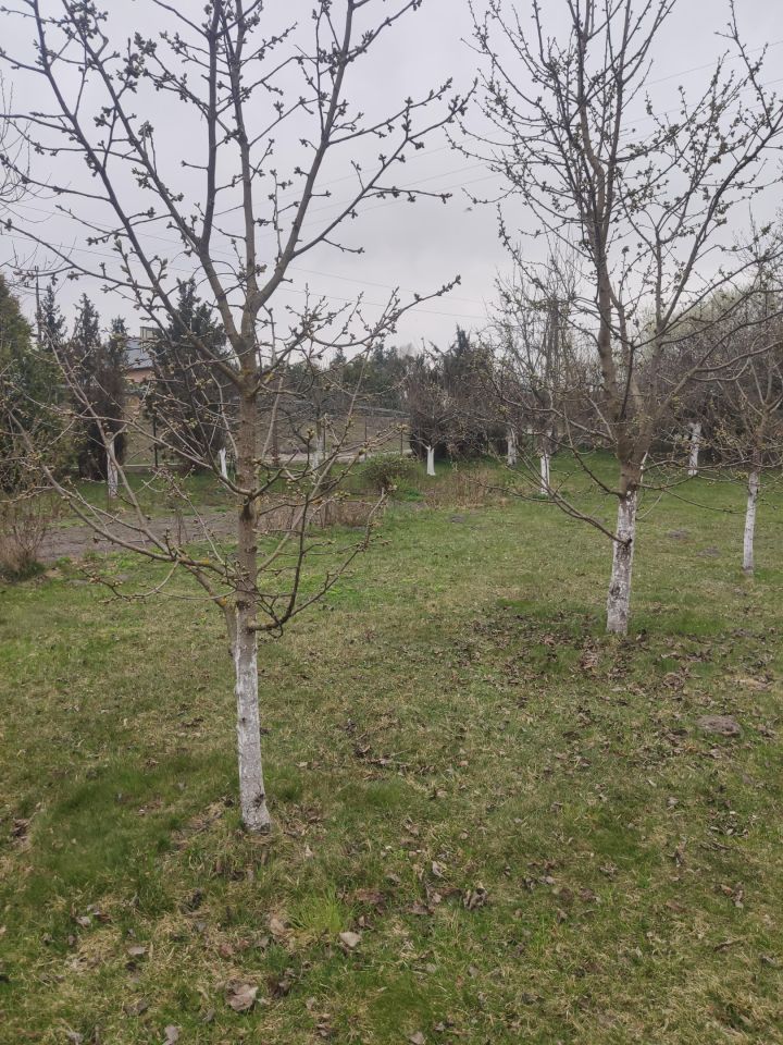 dom wolnostojący, 3 pokoje Stary Szelków. Zdjęcie 6