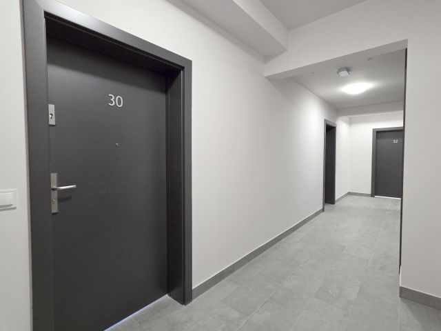 Mieszkanie 2-pokojowe Plewiska, ul. Jarzębinowa. Zdjęcie 15