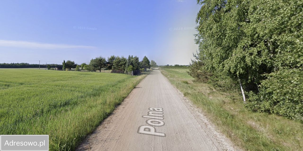 Działka rolna Borkowo. Zdjęcie 2