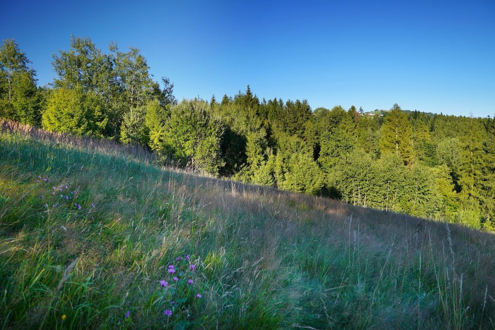Działka budowlana Jaworzynka Małysze. Zdjęcie 3