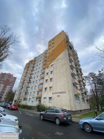 Pokój Poznań Grunwald, ul. Głogowska. Zdjęcie 1