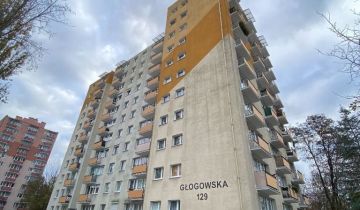 Pokój Poznań Grunwald, ul. Głogowska