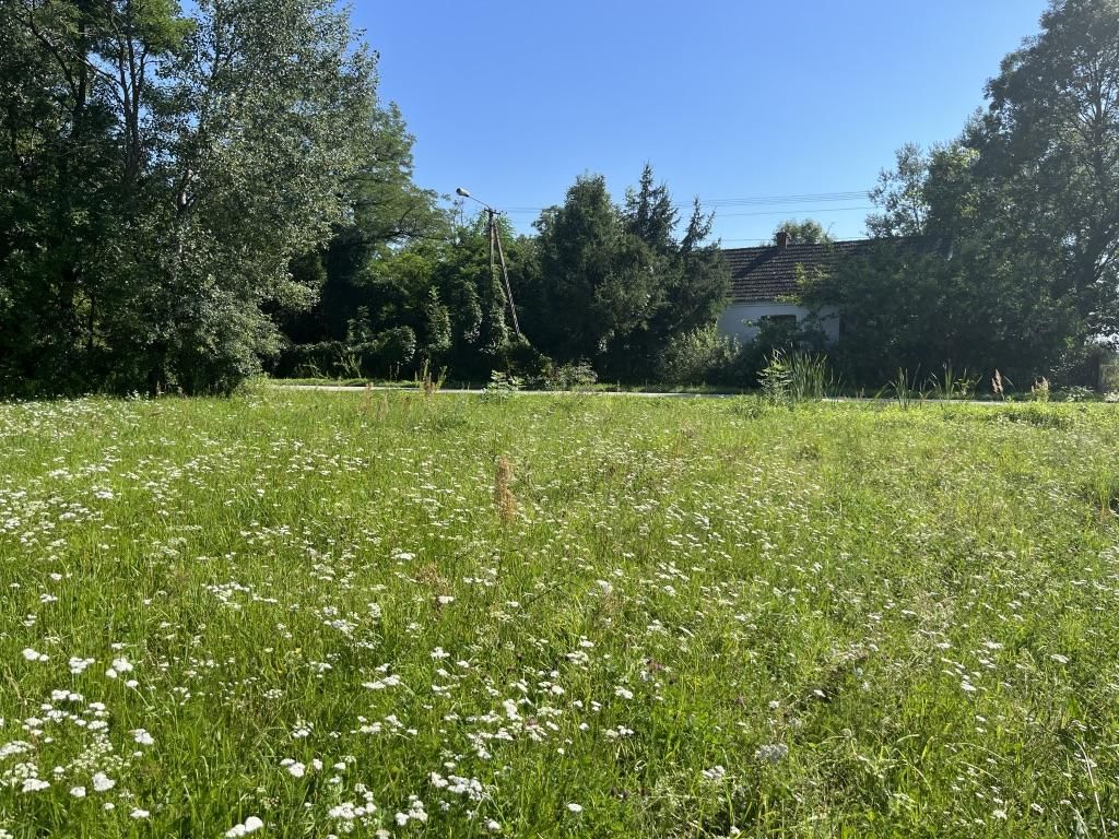 Działka rolno-budowlana Grotniki Małe. Zdjęcie 2