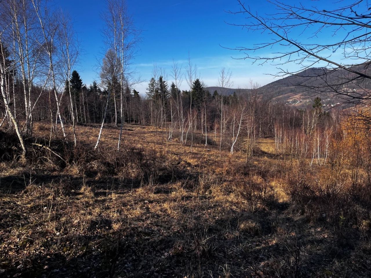 Działka budowlana Brenna. Zdjęcie 3