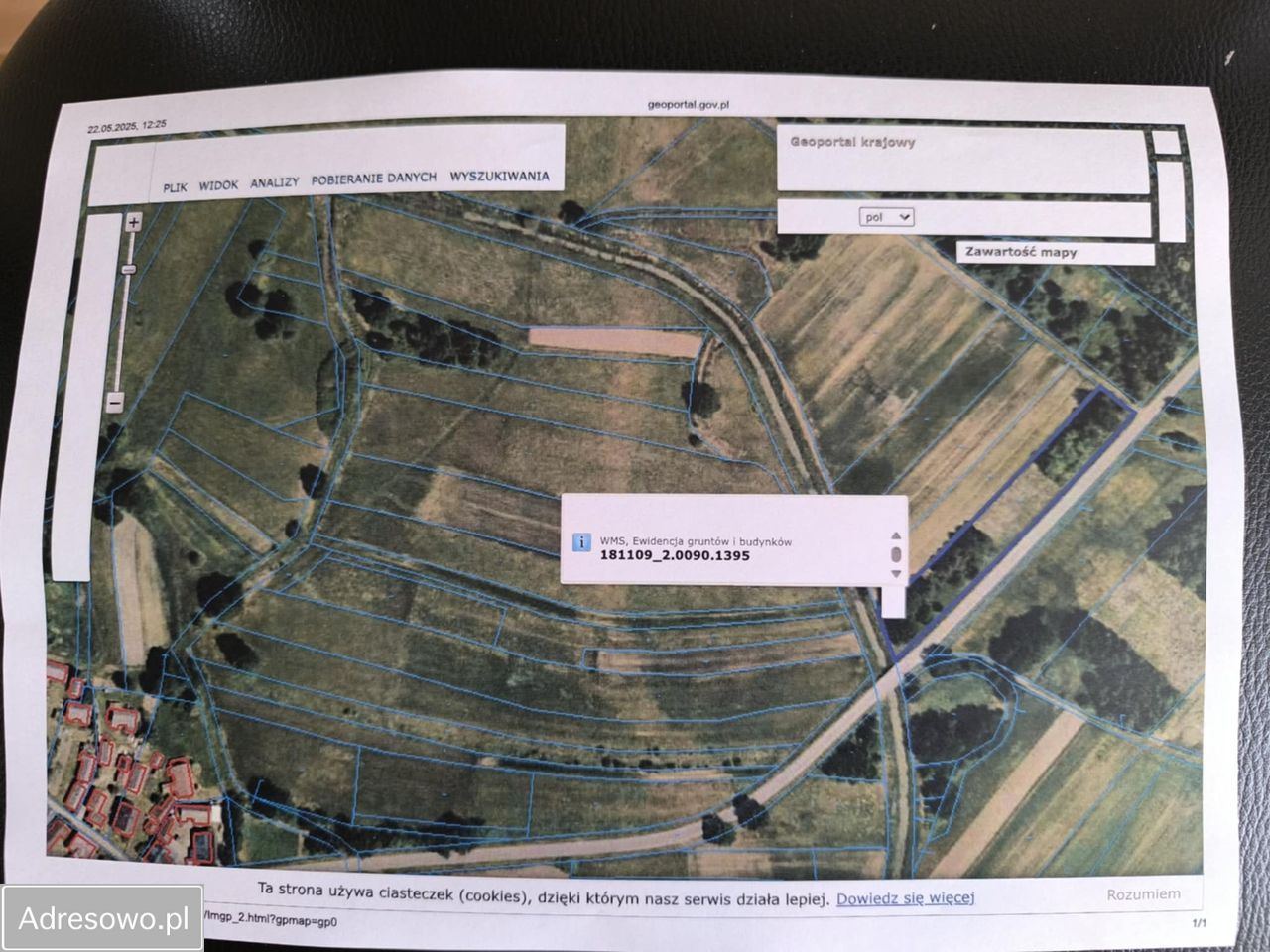 Działka rolna Czajkowa. Zdjęcie 3