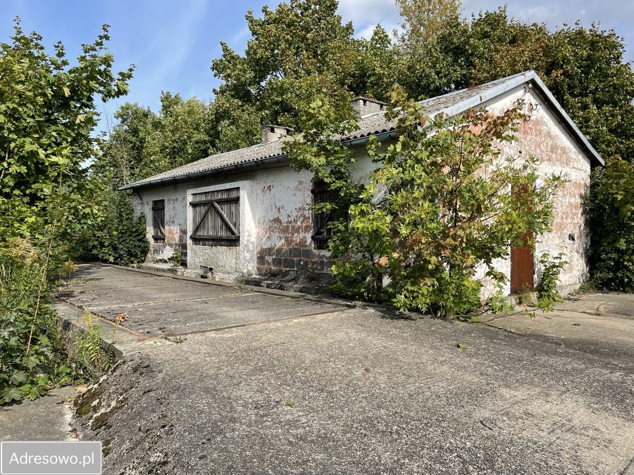 Działka inwestycyjna Mała Wieś, ul. Warszawska. Zdjęcie 5