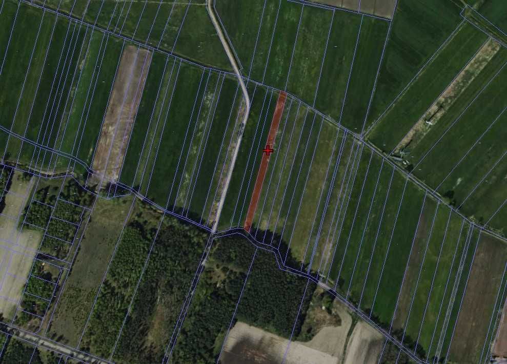 Działka rolna Czołczyn. Zdjęcie 2