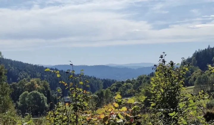 Działka budowlana Żłobek