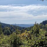 Działka budowlana Żłobek