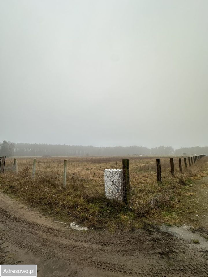 Działka budowlana Zatom Nowy. Zdjęcie 7