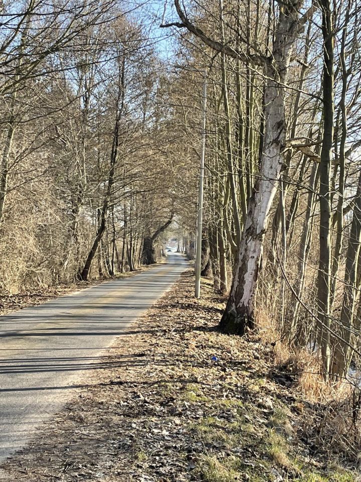 Działka rolno-budowlana Zieleniewo, ul. Boczna. Zdjęcie 5