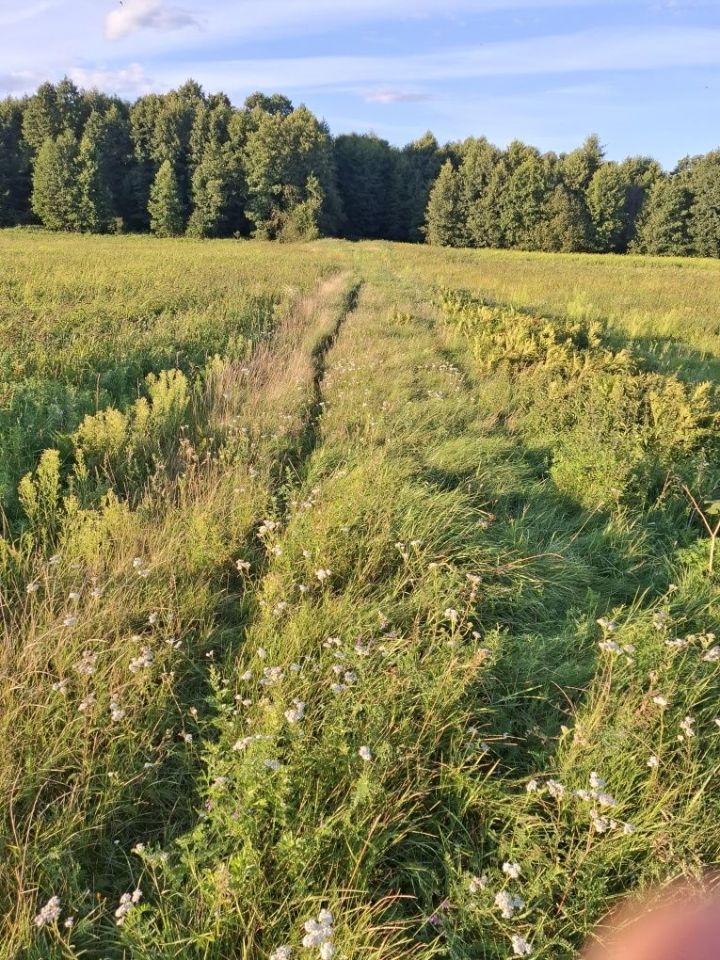 Działka rekreacyjna Sochy. Zdjęcie 2