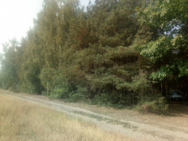 Działka rolna Popowo Borowe. Zdjęcie 1