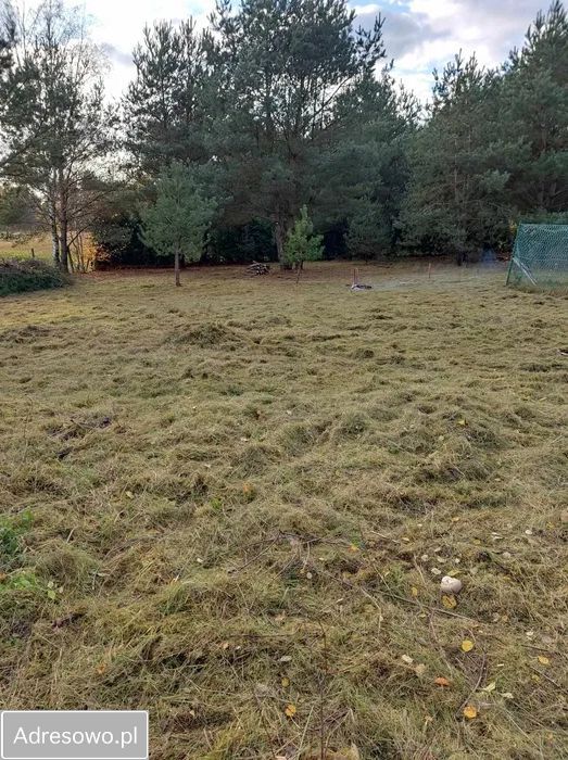 Działka rekreacyjna Nadarzyce. Zdjęcie 5