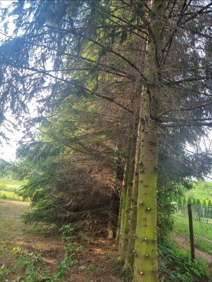 Działka budowlana Przemyśl, ul. Romualda Rosłońskiego. Zdjęcie 7