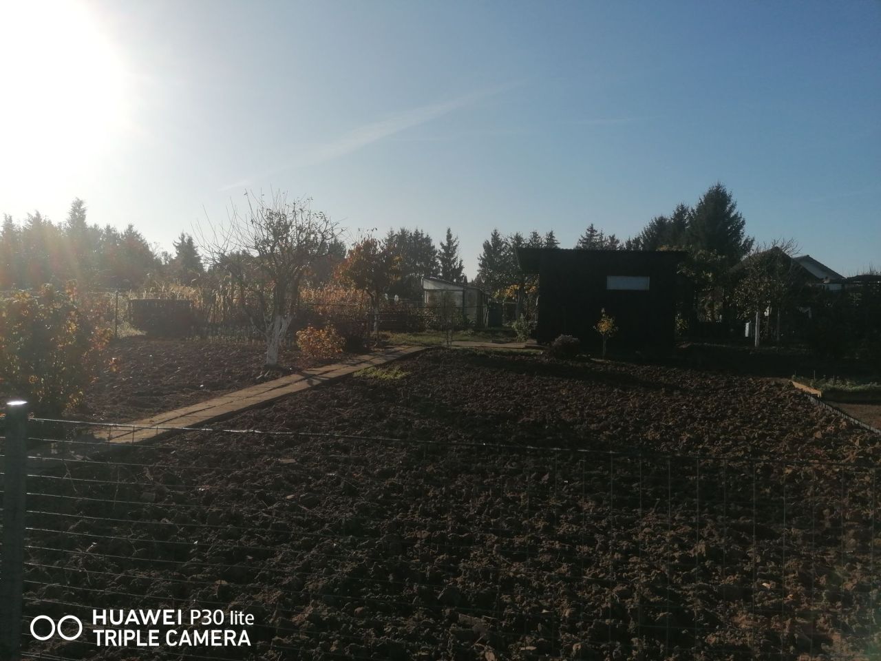 Działka rolna Kwilcz, ul. Międzychodzka. Zdjęcie 3