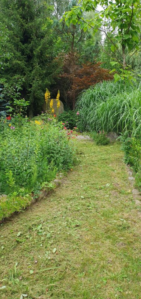 Działka budowlana Życiny. Zdjęcie 13