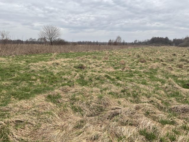 Działka inwestycyjna Trzciana Za Koleją. Zdjęcie 1