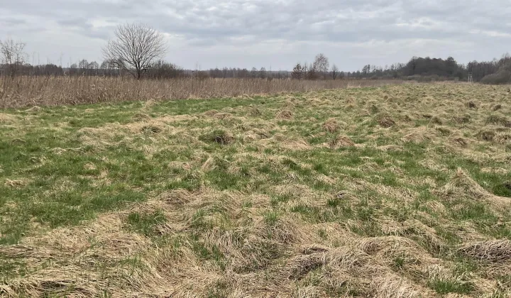 Działka inwestycyjna Trzciana Za Koleją