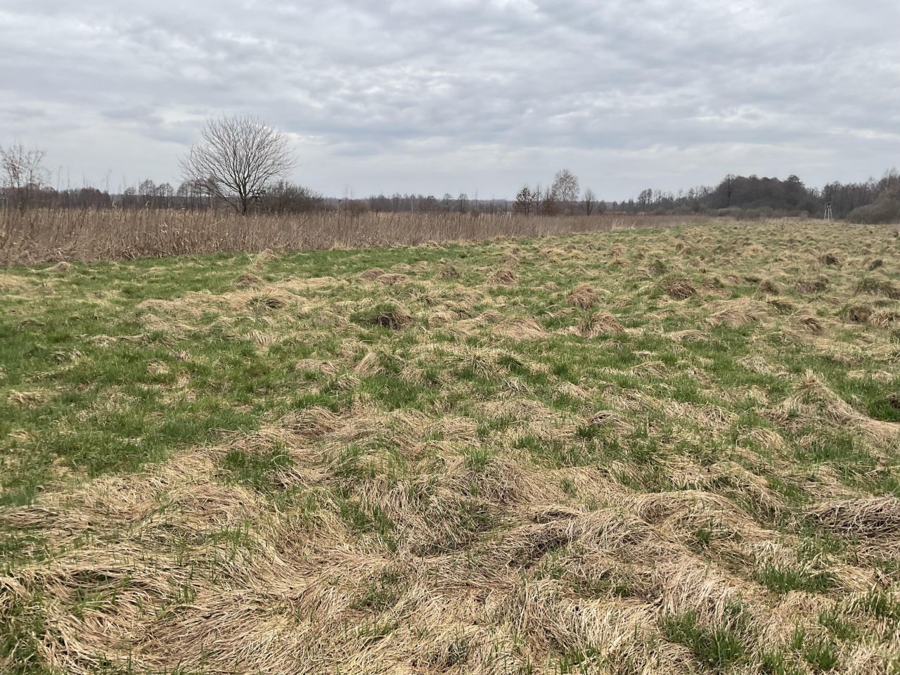 Działka inwestycyjna Trzciana Za Koleją. Zdjęcie 1