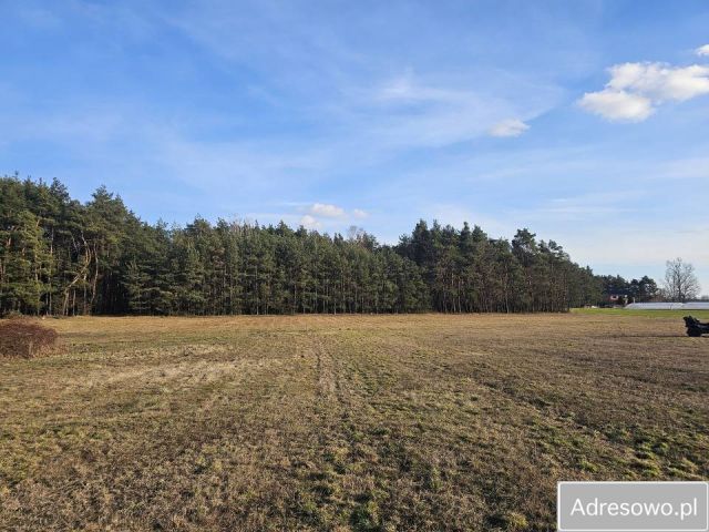 Działka rolna Kolonia Rozniszew. Zdjęcie 1