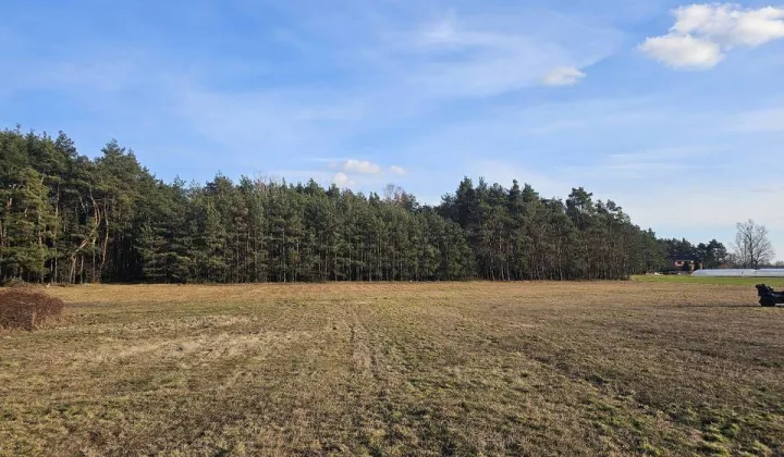 Działka rolna Kolonia Rozniszew