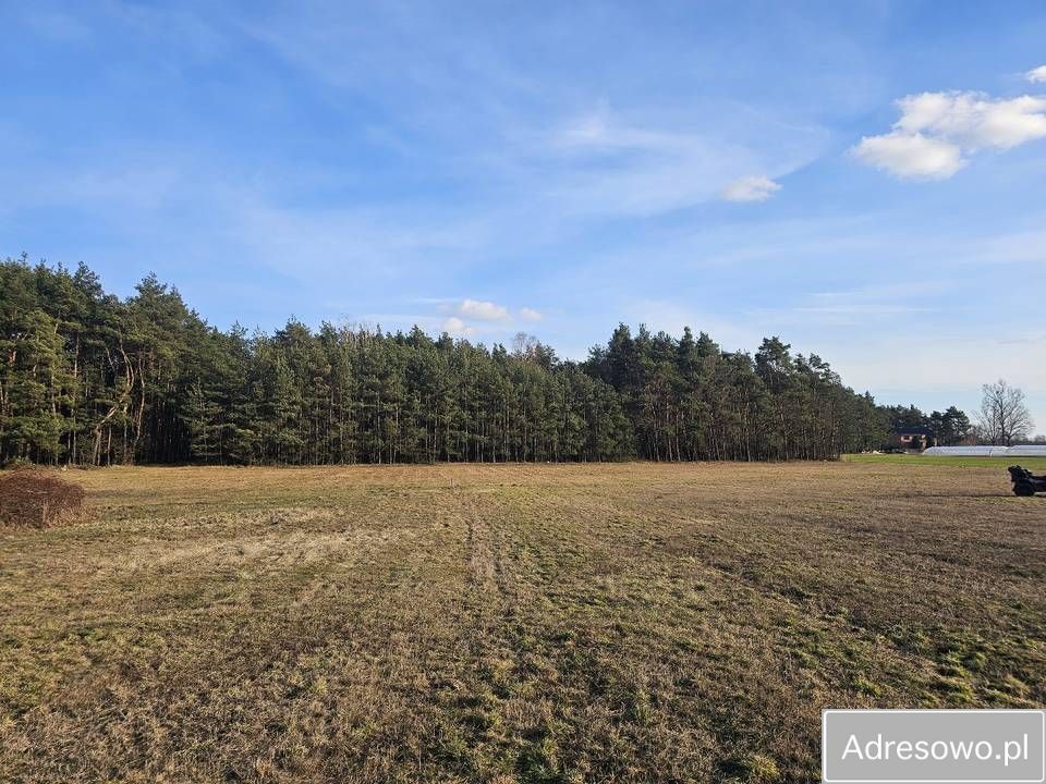 Działka rolna Kolonia Rozniszew. Zdjęcie 1