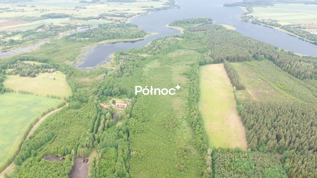 Działka leśna Makosieje. Zdjęcie 3