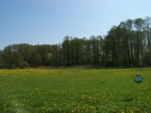 Działka rolna Czaple Górne. Zdjęcie 2