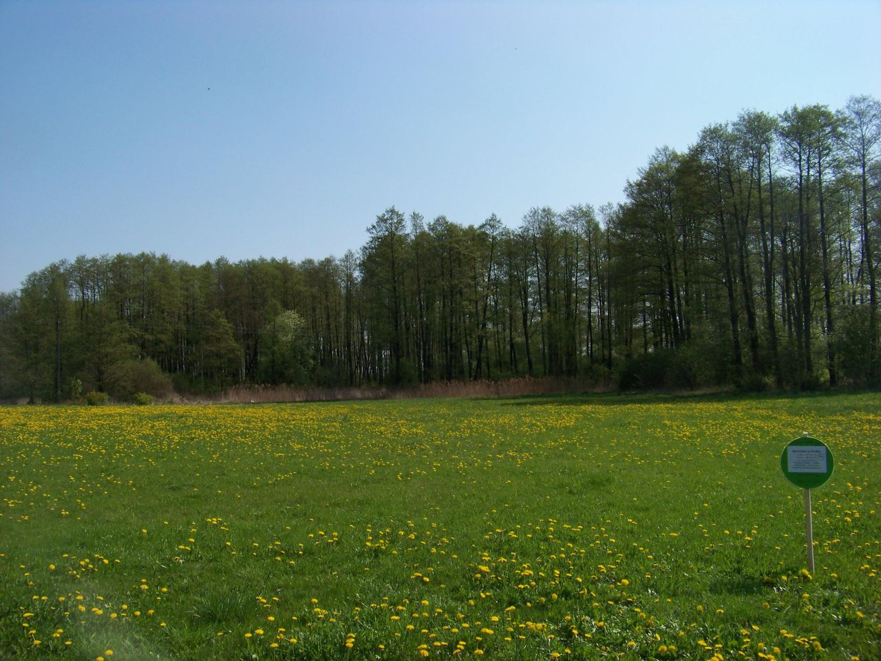 Działka rolna Czaple Górne. Zdjęcie 3