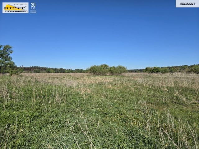 Działka rolna Szczecin. Zdjęcie 16