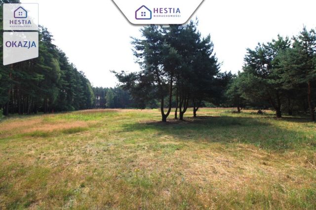 Działka rolna Szczecin Wielgowo, ul. Żywiczna. Zdjęcie 3