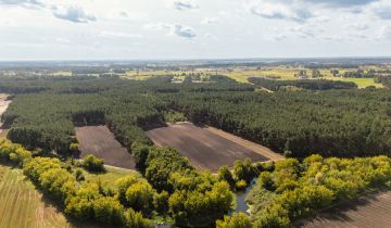 Działka leśna Maurzyce