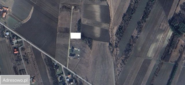 Działka budowlana Babicha. Zdjęcie 3