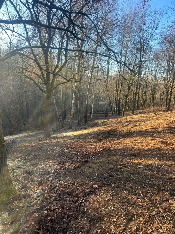 Działka rolno-budowlana Siepraw Brzeg, ul. Brzeg. Zdjęcie 6