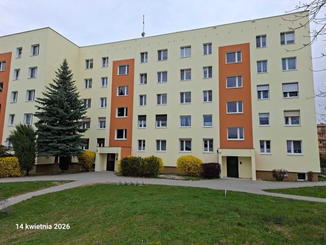 Mieszkanie 2-pokojowe Mogilno. Zdjęcie 1