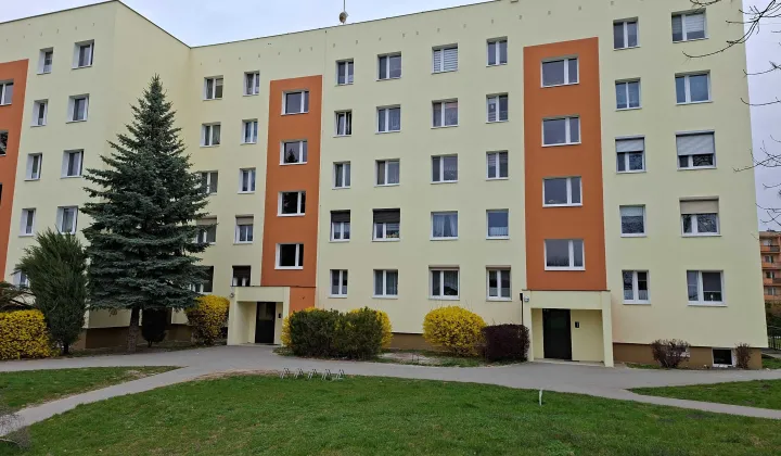 Mieszkanie 2-pokojowe Mogilno