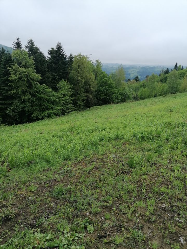 Działka budowlana Paszyn Półanki. Zdjęcie 4