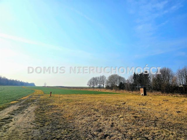 Działka budowlana Brzeziny. Zdjęcie 1