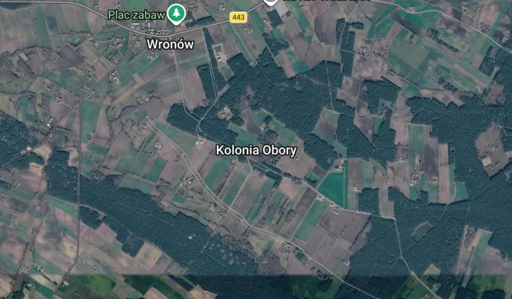 Działka rolna Kolonia Obory