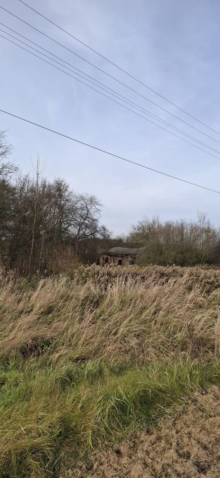 Działka siedliskowa Kluski. Zdjęcie 2