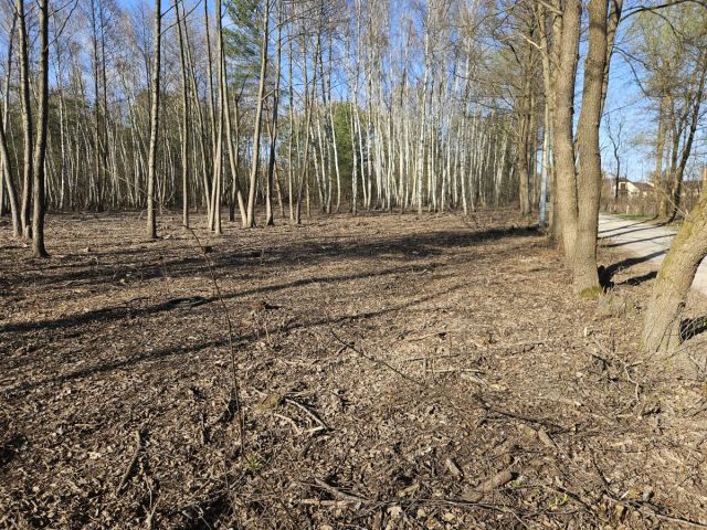 Działka budowlana Żanęcin, ul. Gościniec. Zdjęcie 14