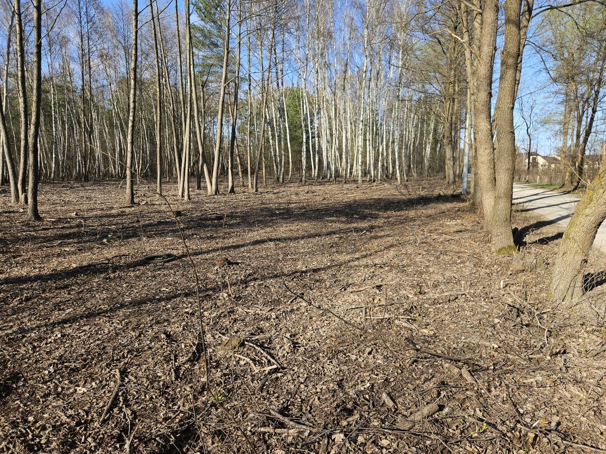 Działka budowlana Żanęcin, ul. Gościniec. Zdjęcie 14