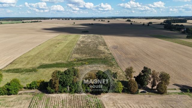 Działka rolna Rutwica. Zdjęcie 12