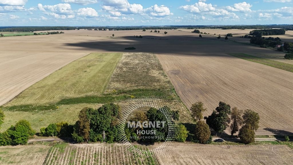 Działka rolna Rutwica. Zdjęcie 12