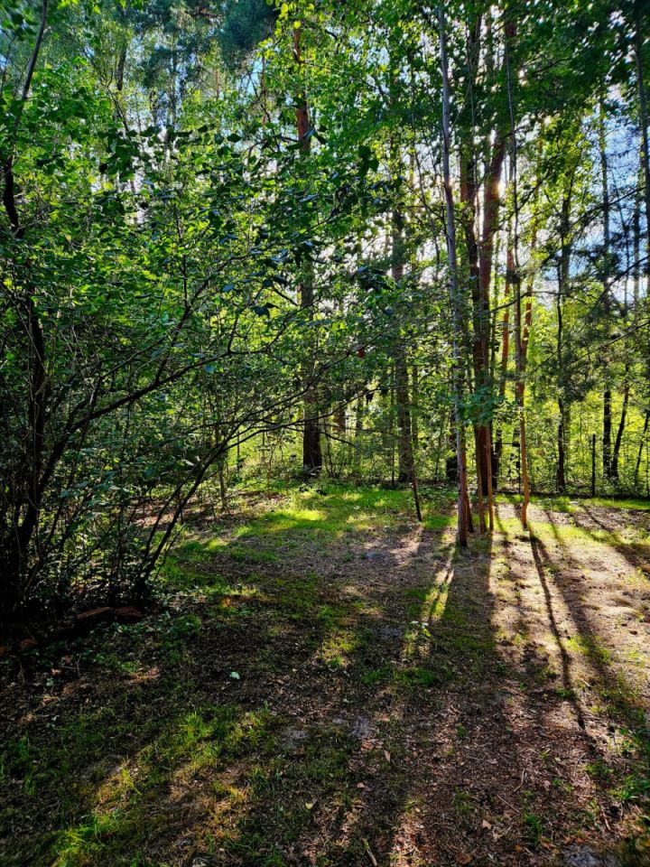 Działka budowlana Duchnów. Zdjęcie 3