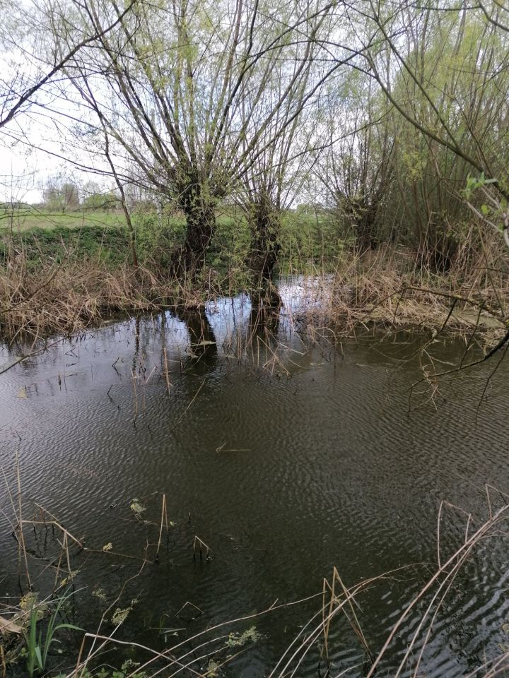 Działka budowlana Wojków. Zdjęcie 6